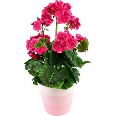 DOMMIO Muškát v keramickom kvetináči 40 × 25 cm ružový