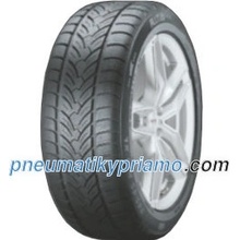 Platin RP60 Winter 225/40 R18 92V