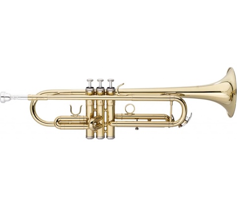Stagg WS-TR115