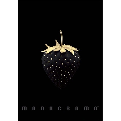 Pigna Monocromo Gold A4 с телбод 38 страници карирана тетрадка P1111-1857 (P1111-1857)
