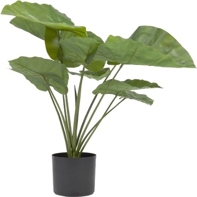 Umělá květina Kave Home Alocasia 57 cm