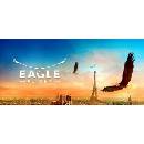 Eagle Flight