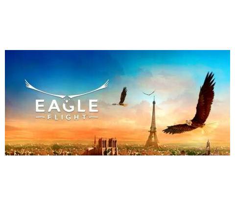 Eagle Flight