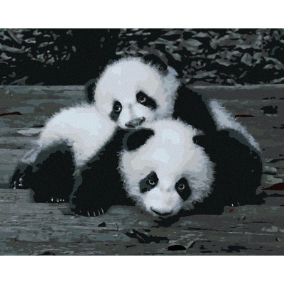 Zuty Malování Podle Čísel Pandy V Zoo 80 x 100 Cm Plátno Rám 8596530084594