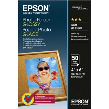 Epson C13S042547