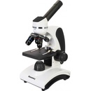 Discovery Pico Terra