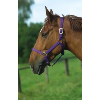 Norton Nylonová ohlávka fialová – Sleviste.cz