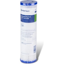 Pentair R30, 10"