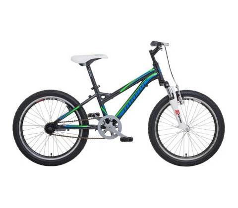 Mayo Basic 2 2023