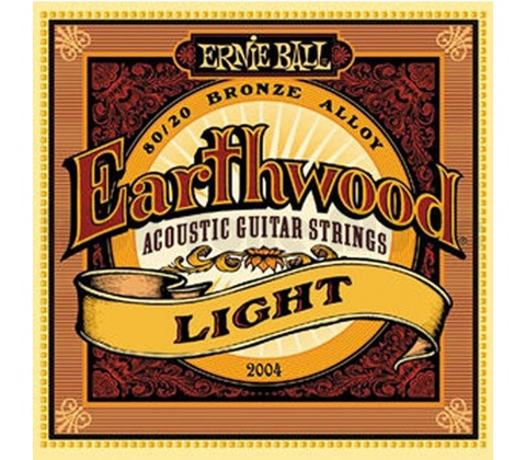 Ernie Ball 2004