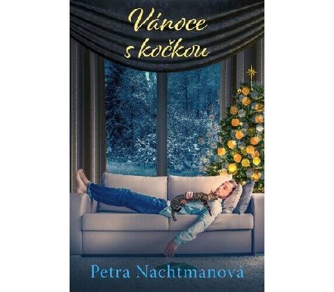 Vánoce s kočkou