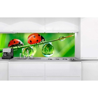 DIMEX ART Фототапет за кухня - калинка 180 x 60 см