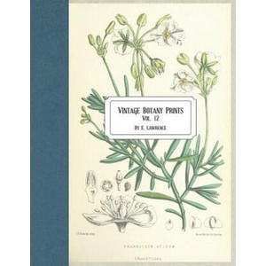 Vintage Botany Prints: Vol. 12 | E. Lawrence (ISBN: 9781723177842)