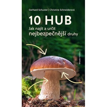 10 hub