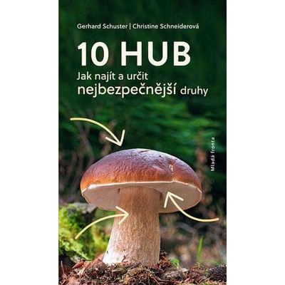 10 hub