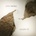 People Do - John Lemke LP