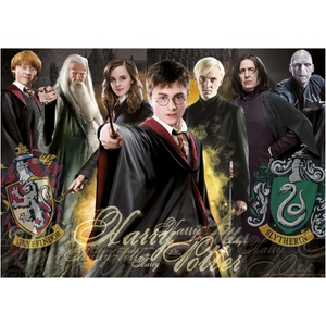 Educa - Puzzle Harry Potter - 1 000 piese