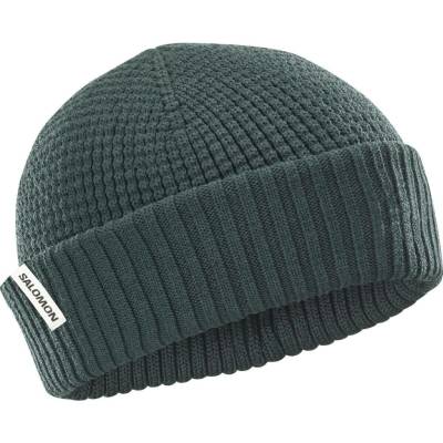 Salomon Docker beanie LC2601600 green gables