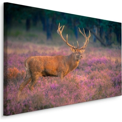 MyBestHome BOX Plátno Jelen V Lese III. Varianta: 90x60