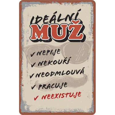 Postershop Plechová cedule: Ideální muž - 20x30 cm