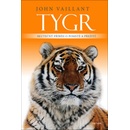 Tygr
