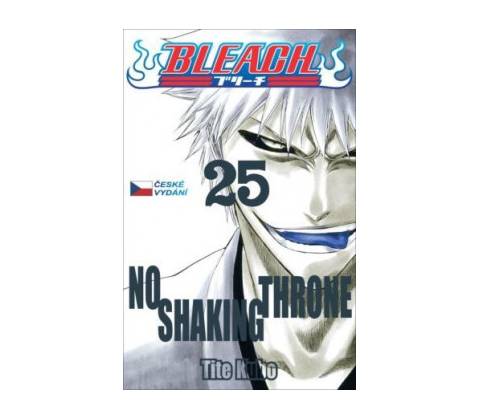 Bleach 25: No Shaking Throne