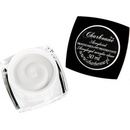 Charbonné pudr Acryl Clear čirý 30 ml