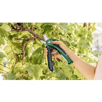 Image 1 of Bosch EasyPrune 06008B2102