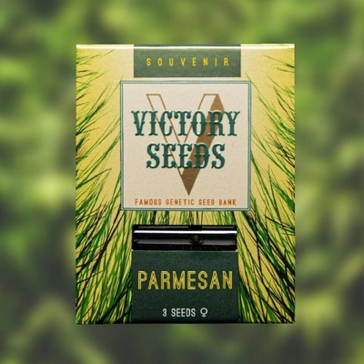 Victory Seeds Parmesan semena neobsahují THC 10 ks