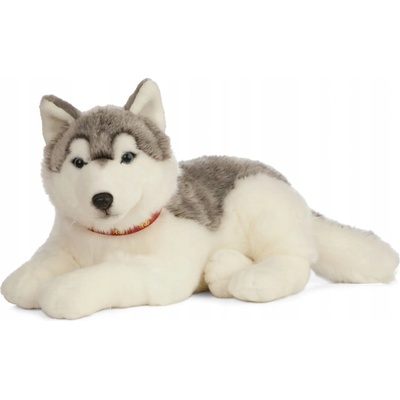 LIVING PŘÍRODA HUSKY 50 cm