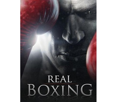 Real Boxing