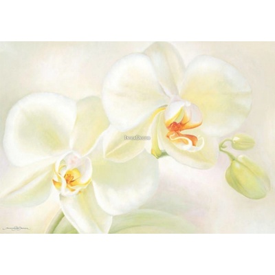 Bílá orchidej 1 deska 100x70