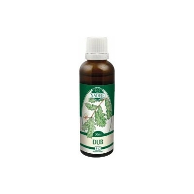 Naděje tinktúra z púčikov dub letný P12 50 ml