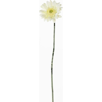 KS GERBERA BIELA 45CM