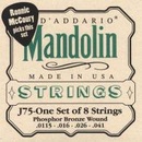 D'addario J75