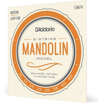 D'Addario EJM74