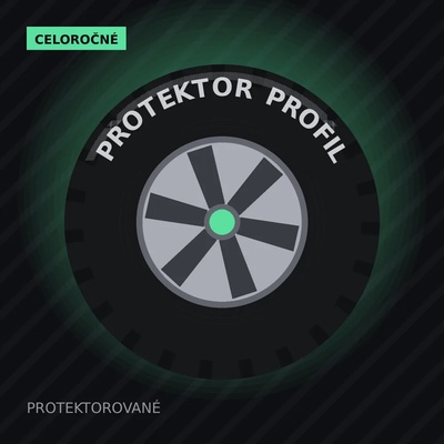 Profil PRO All Weather 225/50 R17 94H