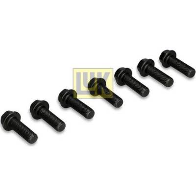 Schaeffler LuK Sada šroubů pro setrvačník LUK (LK 411025310)