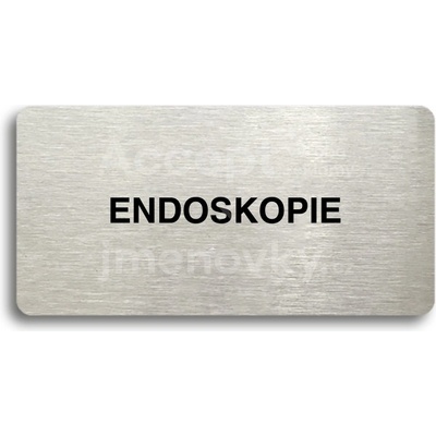 ACCEPT Piktogram ENDOSKOPIE - stříbrná tabulka - černý tisk bez rámečku
