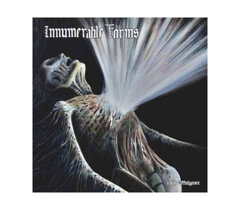 Innumerable Forms - Pain Effulgence CD