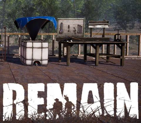 Remain
