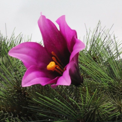 Vazbová lilie střední - fialová - VL0750