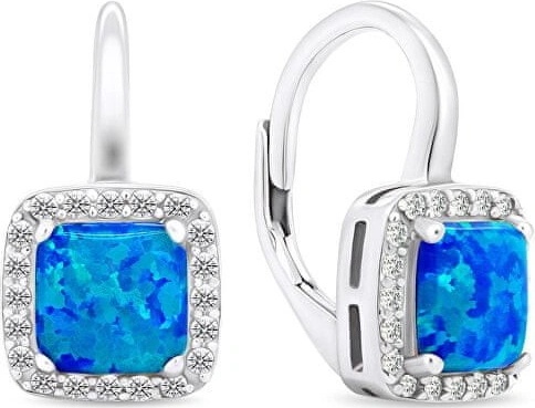 Brilio Silver náušnice EA366WB