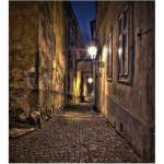 DIMEX ART Флизелинов фототапет алея 225 x 250 см