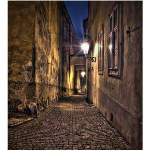DIMEX ART Флизелинов фототапет алея 225 x 250 см