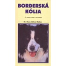 Borderská kólia