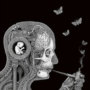 Cognitive Soen LP