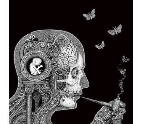 Cognitive Soen LP