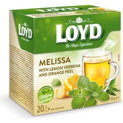 Loyd Tea pyramida meduňka s pomerančem 30 g