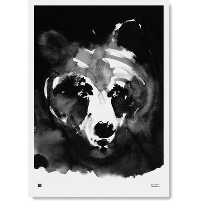Teemu Järvi Plakát s motivem medvěda Mysterious bear 50x70